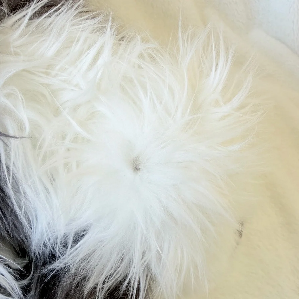 Farley Plush Dog - For Better Or For Worse Comic - Sheepdog - Rare - Picture 15 of 15